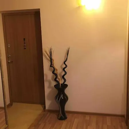 Апартаменти Flat In Fabijoniskes Вільнюс